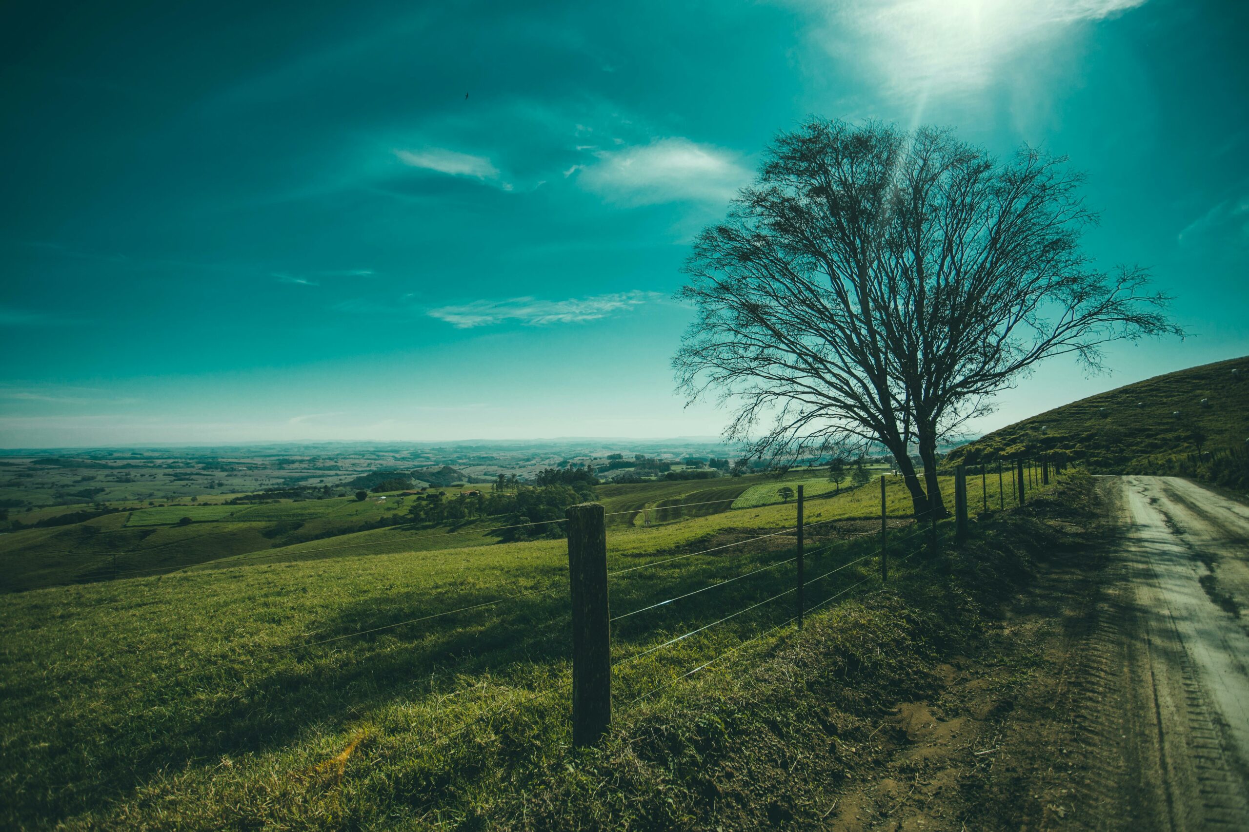 chemin ensoleillé